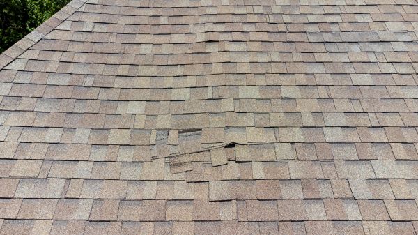 Roof Leak Inspection in Brattleboro