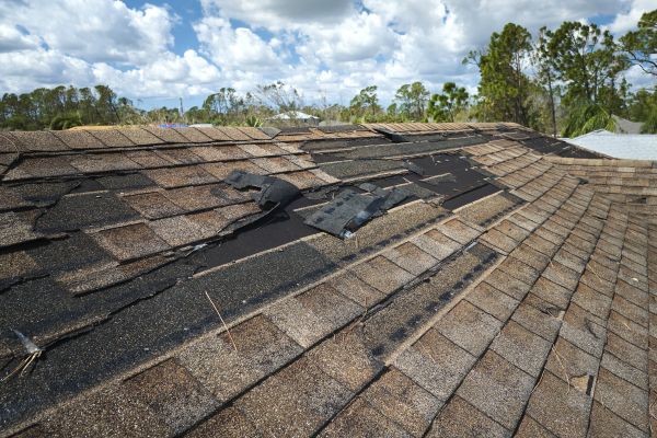 Roof Damage Repair in Brattleboro
